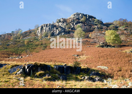 Selvaggia e aspra bellezza della valle Langstrath Borrowdale nel Parco nazionale del Lake District Cumbria Foto Stock