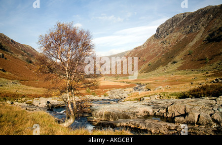 Selvaggia e aspra bellezza della valle Langstrath Foto Stock