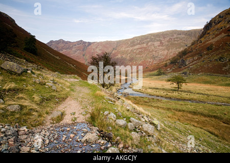 Percorso attraverso la selvaggia e aspra bellezza della valle Langstrath Foto Stock