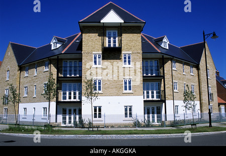 Nuove case su Ravenswood Estate in Ipswich, Suffolk, Regno Unito. Foto Stock