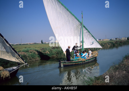 Imbarcazione a vela vela latina del lago La Albufera Pinedo Valencia Spagna Foto Stock