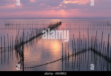 Lago de la Albufera tramonto rete da pesca Albufera di Valencia Spagna Foto Stock