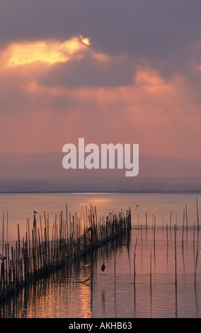 Lago de la Albufera tramonto rete da pesca Valencia Spagna Foto Stock