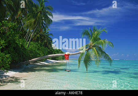 Palm tree con swing e hat su aqua acque nelle Maldive Foto Stock
