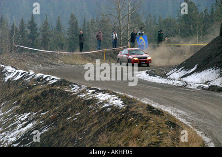 Cross country rally auto Foto Stock