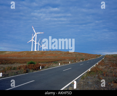 Mulini a vento nelle Highlands di Madeira Portogallo Europa. Foto di Willy Matheisl Foto Stock