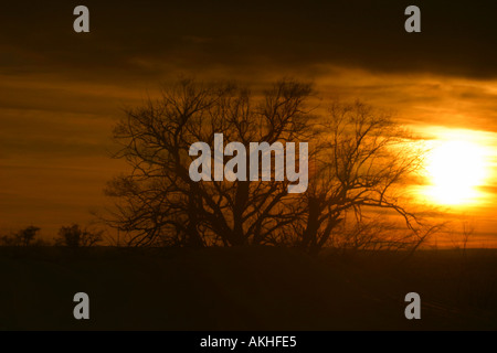 Winter Wonderland; nel tardo pomeriggio sun Foto Stock