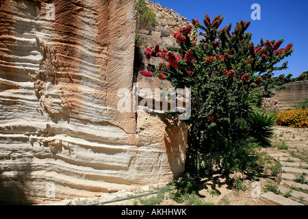 Giardini Ipogei tra cave di tufo, l'isola di Favignana, Isole Egadi, Sicilia, Italia Foto Stock