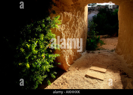 Giardini Ipogei tra cave di tufo, l'isola di Favignana, Isole Egadi, Sicilia, Italia Foto Stock