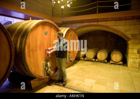 Cantina, Tenute di Al Bano Carrisi, Cellino San Marco, Puglia, Italia Foto Stock