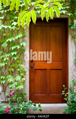 Dettaglio della porta di legno accanto al coperto di edera parete. Foto Stock