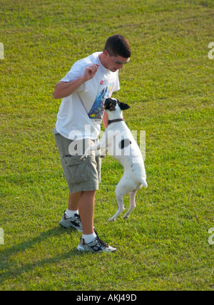 L'uomo gioca con Jack Russell cane nel parco. Stati Uniti d'America Foto Stock