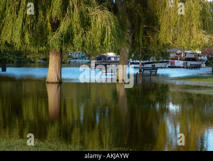 Inondazioni in Henley upon Thames, Oxfordshire, Inghilterra durante l'estate del 2007. Foto Stock