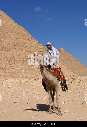 Tour egiziano guida cammello equitazione nella parte anteriore della piramide Foto Stock