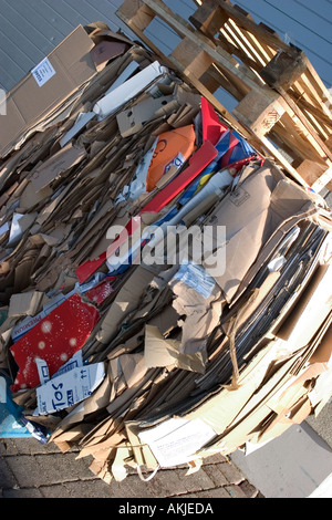 Fasci di carta di plastica e altri in impianto di riciclaggio Foto Stock