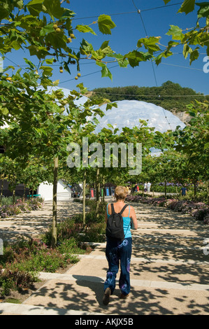 Avvicina la linea geodesica fino biomi del progetto Eden in Cornwall Inghilterra Foto Stock