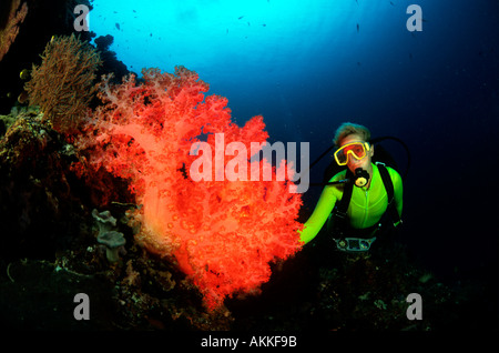 Femmina subacqueo e colorato soft Coral reef Salomone è Oceano Pacifico Foto Stock