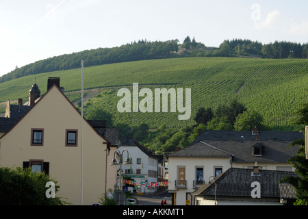 Saarburg Germania - vigneti sulle colline nel centro di Saarburg nel Palatinato regione della Germania Foto Stock