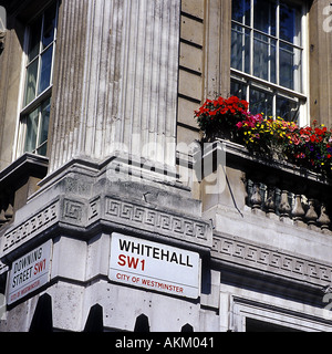 Finestra sopra la casella Whitehall e Downing Street Junction Londra Inghilterra REGNO UNITO Foto Stock