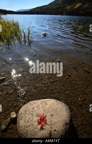 Foglie sulla roccia di Twin Lakes in scenic Alberta Foto Stock