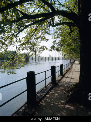 Vista del lato del fiume a Wroclaw / Breslavia, Polonia Foto Stock