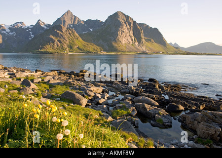 La montagna Flakstadtinden cluster su Flakstadoya, Isole Lofoten, Arctic Norvegia, visto da Vareid a 11:00 in estate. Foto Stock