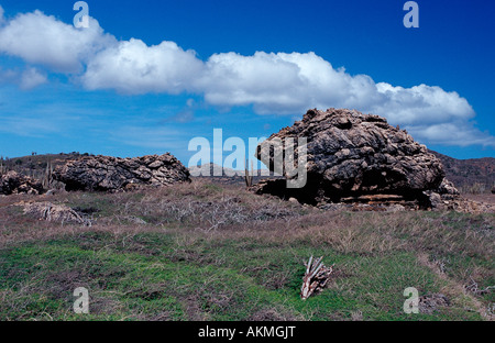 Il paesaggio del deserto Antille Olandesi Bonaire Bonaire Washington Slagbaai National Park Boka Chikitu Foto Stock