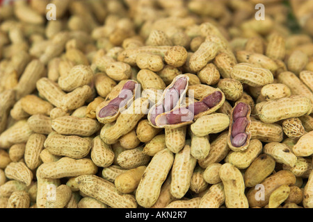 Pila di bollito di arachidi in Thailandia il mercato locale Foto Stock
