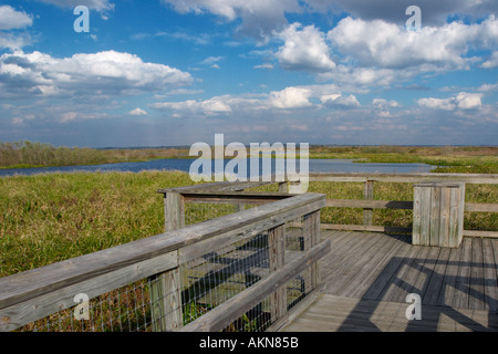 William Bartram Trail a Payne s Prairie a sud di Gainesville, Florida USA Foto Stock