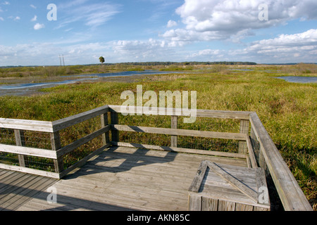 William Bartram Trail a Payne s Prairie a sud di Gainesville, Florida USA Foto Stock