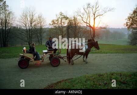 Un turista su una carrozza a cavallo in Fuerst-Pueckler-Park di Leknica, Polonia Foto Stock