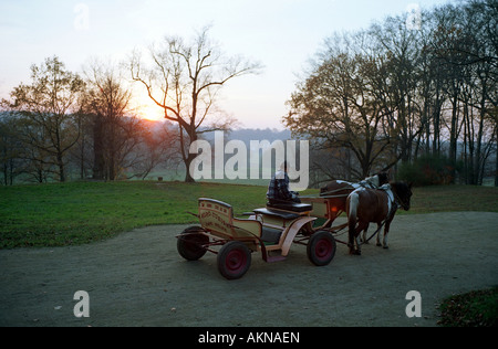 Una carrozza trainata da cavalli nella Fuerst-Pueckler-Park di Leknica, Polonia Foto Stock
