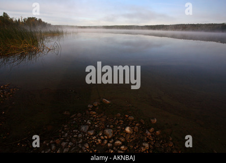 Nebbia di mattina in un lago di Saskatchewan Foto Stock