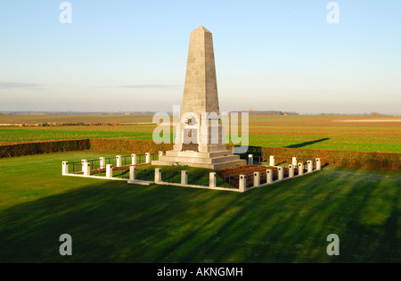 1° Divisione australiana Memorial, Pozieres, Somme, Francia Foto Stock