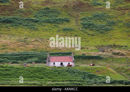 Il croft abbandonati nelle highlands scozzesi di Caithness Regno Unito Foto Stock