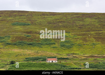 Il croft abbandonati nelle highlands scozzesi di Caithness Regno Unito Foto Stock