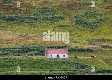 Il croft abbandonati nelle highlands scozzesi di Caithness Regno Unito Foto Stock
