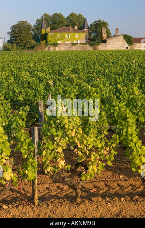 Chateau Coutet e la sua vigna Barsac Regione Bordeaux Francia Foto Stock