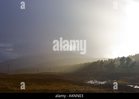 Fiume Muick in Glenmuick Aberdeenshire in Scozia Foto Stock