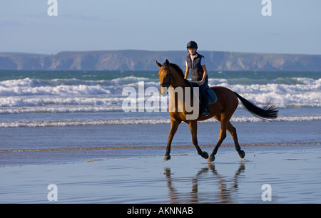 Giovane donna corse Cleveland Bay croce cavallo purosangue su vasta Oasi Beach Pembrokeshire Wales Regno Unito Foto Stock