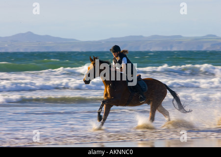 Giovane donna corse una baia a cavallo su vasta Oasi Beach Pembrokeshire Wales Regno Unito Foto Stock