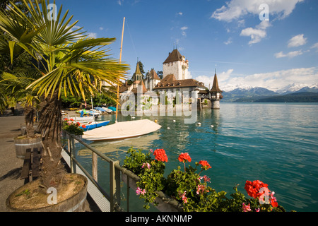 Castello Oberhofen sul Lago di Thun Oberhofen Oberland Bernese highlands Cantone di Berna in Svizzera Foto Stock