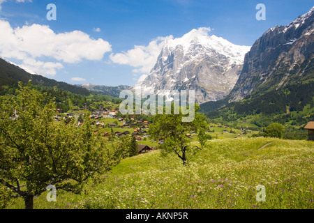 Vista su Grindelwald a Eiger 3970 m Oberland Bernese highlands Cantone di Berna in Svizzera Foto Stock
