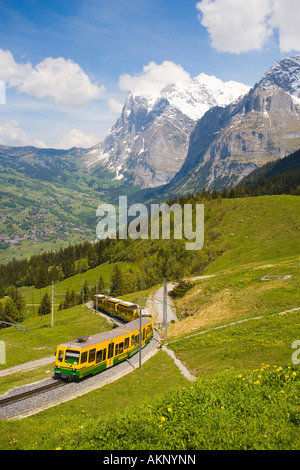 Jungfraubahn sul modo da Grindelwald a Kleine Scheidegg Oberland Bernese highlands Cantone di Berna in Svizzera Foto Stock