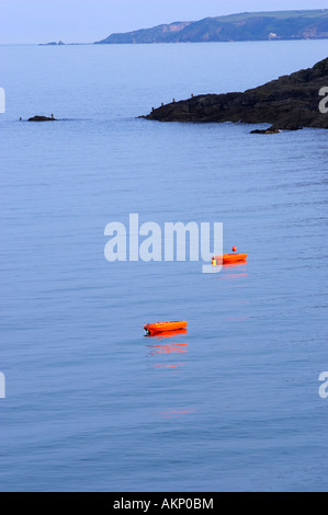 Due orange scialuppa di salvataggio Canotti ormeggiata su una calma il mare blu a Swanpool Beach in Falmouth, Cornwall. Foto Stock