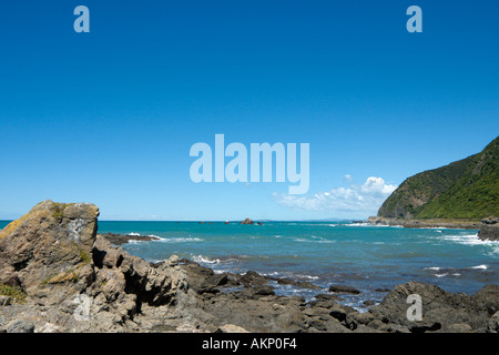 Costa su SH1 a nord di Kaikoura, Isola del Sud, Nuova Zelanda Foto Stock