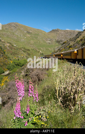 Taieri Gorge Railway da Dunedin, Otago, Isola del Sud, Nuova Zelanda Foto Stock