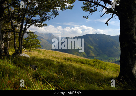 Paesaggio dei Pirenei francesi nei pressi di Lescun Foto Stock