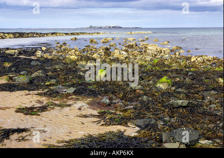 Il farne isole e suono interno da Islestone, Seahouses beach, Northumberland REGNO UNITO Foto Stock