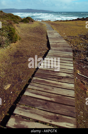 Narawntapu Parco nazionale Tasmania Foto Stock